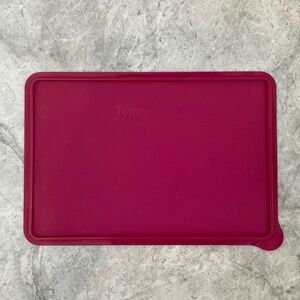 Tupperware Snack-Stor Large Lid
